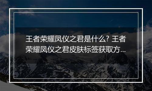 王者荣耀凤仪之君是什么? 王者荣耀凤仪之君皮肤标签获取方法
