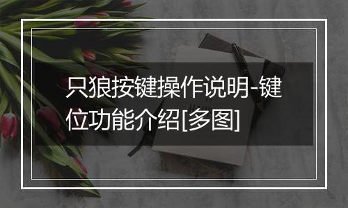 只狼按键操作说明-键位功能介绍[多图]