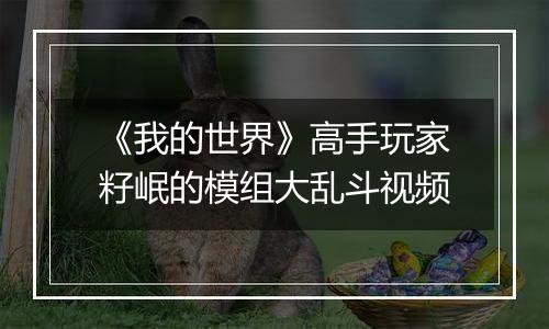 《我的世界》高手玩家籽岷的模组大乱斗视频