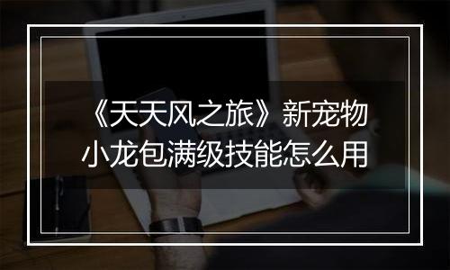 《天天风之旅》新宠物小龙包满级技能怎么用