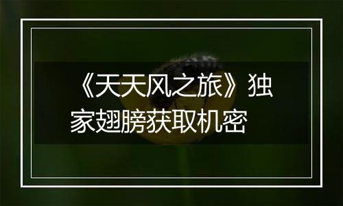 《天天风之旅》独家翅膀获取机密