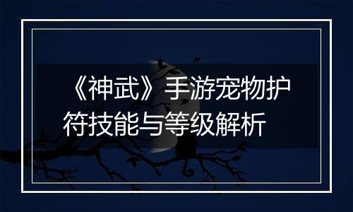 《神武》手游宠物护符技能与等级解析