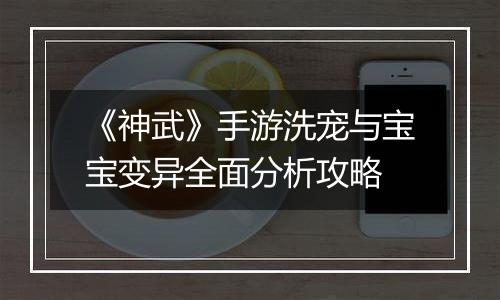 《神武》手游洗宠与宝宝变异全面分析攻略