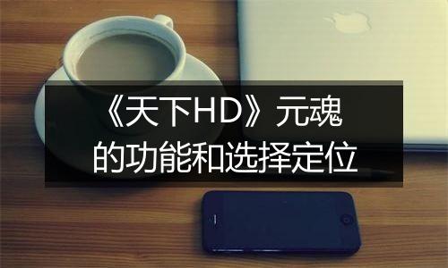 《天下HD》元魂的功能和选择定位