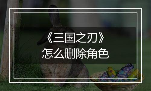 《三国之刃》怎么删除角色