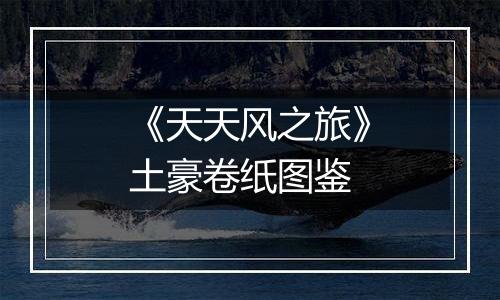 《天天风之旅》土豪卷纸图鉴