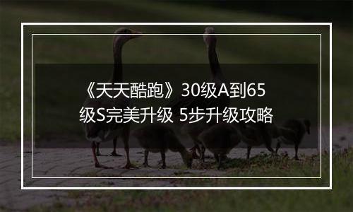 《天天酷跑》30级A到65级S完美升级 5步升级攻略