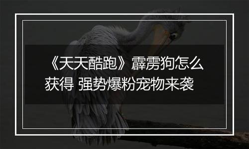 《天天酷跑》霹雳狗怎么获得 强势爆粉宠物来袭