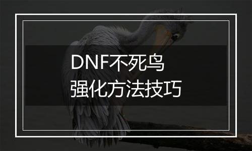 DNF不死鸟强化方法技巧