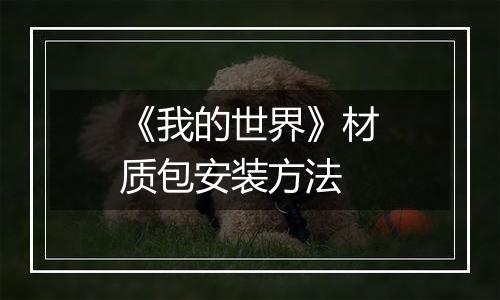 《我的世界》材质包安装方法
