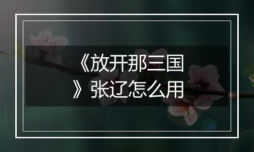 《放开那三国》张辽怎么用