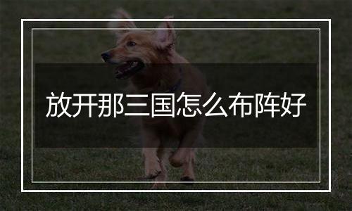 放开那三国怎么布阵好