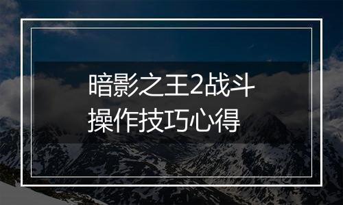 暗影之王2战斗操作技巧心得