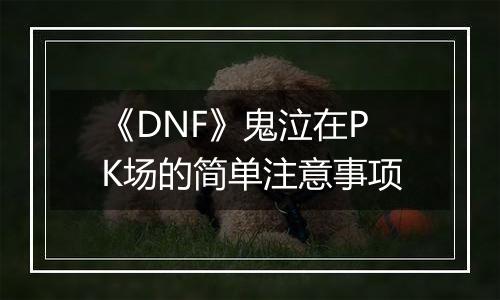 《DNF》鬼泣在PK场的简单注意事项