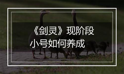 《剑灵》现阶段小号如何养成