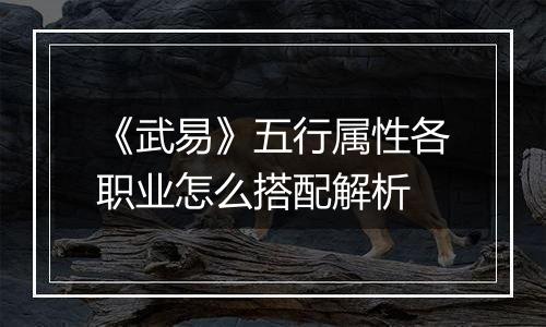 《武易》五行属性各职业怎么搭配解析