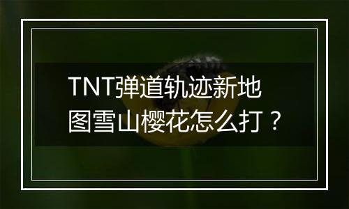 TNT弹道轨迹新地图雪山樱花怎么打？
