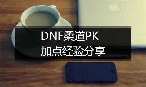 DNF柔道PK加点经验分享
