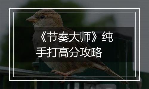 《节奏大师》纯手打高分攻略