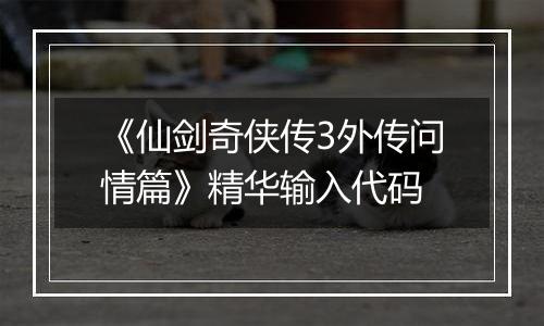 《仙剑奇侠传3外传问情篇》精华输入代码