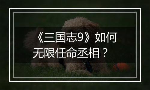 《三国志9》如何无限任命丞相？