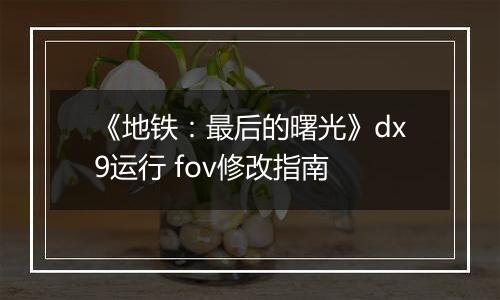 《地铁：最后的曙光》dx9运行 fov修改指南