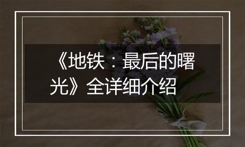 《地铁：最后的曙光》全详细介绍