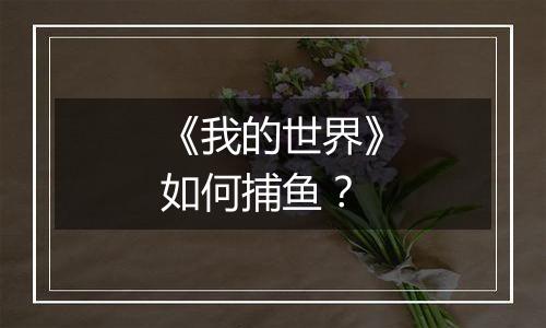 《我的世界》如何捕鱼？
