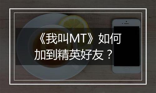 《我叫MT》如何加到精英好友？