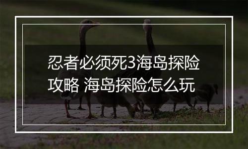忍者必须死3海岛探险攻略 海岛探险怎么玩
