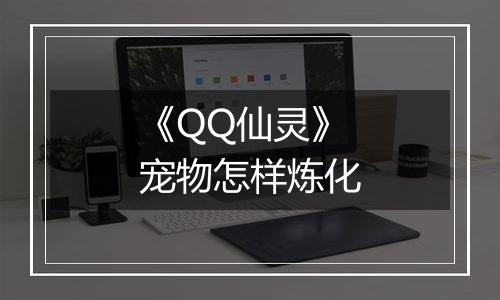 《QQ仙灵》宠物怎样炼化