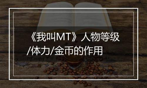 《我叫MT》人物等级/体力/金币的作用