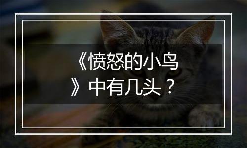 《愤怒的小鸟》中有几头？