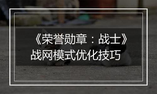 《荣誉勋章：战士》战网模式优化技巧