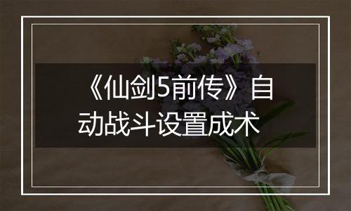 《仙剑5前传》自动战斗设置成术