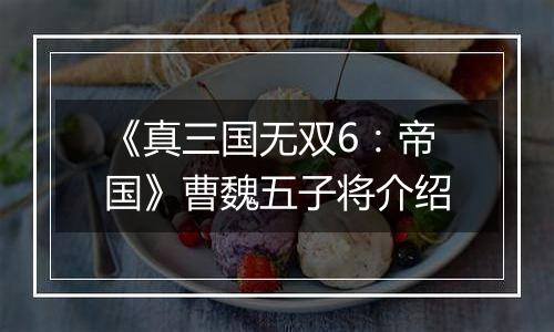 《真三国无双6：帝国》曹魏五子将介绍