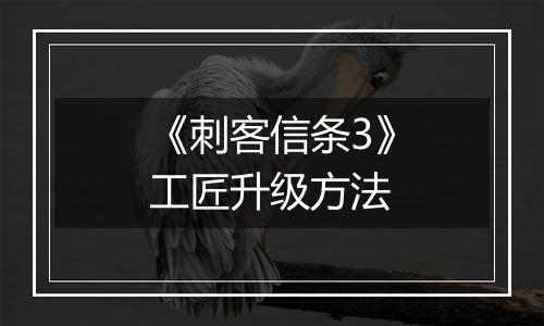 《刺客信条3》工匠升级方法