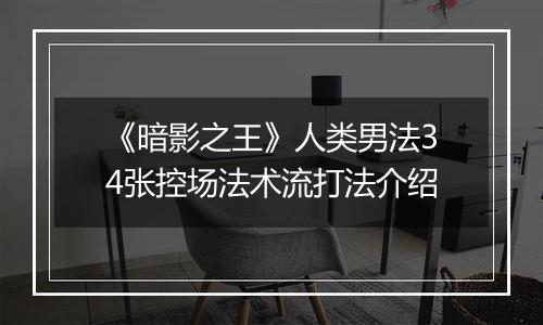 《暗影之王》人类男法34张控场法术流打法介绍