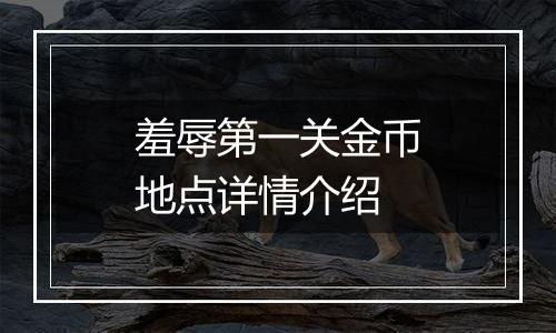 羞辱第一关金币地点详情介绍