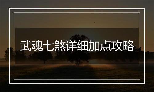 武魂七煞详细加点攻略