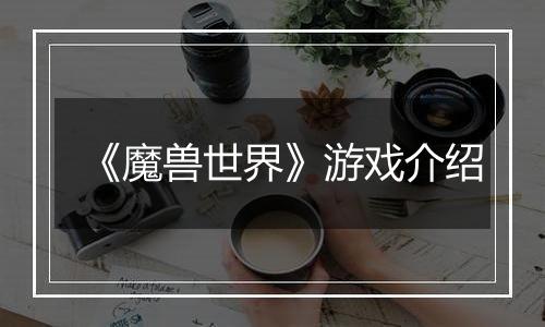 《魔兽世界》游戏介绍