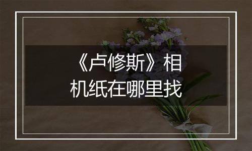 《卢修斯》相机纸在哪里找