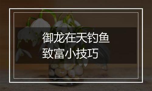 御龙在天钓鱼致富小技巧