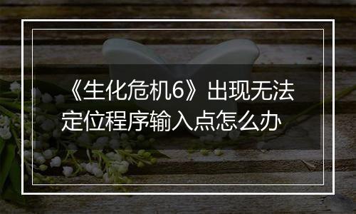 《生化危机6》出现无法定位程序输入点怎么办