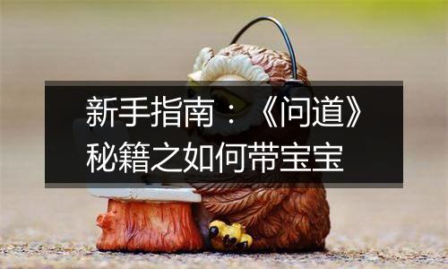 新手指南：《问道》秘籍之如何带宝宝