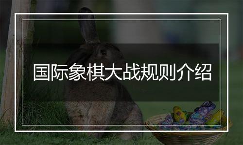 国际象棋大战规则介绍