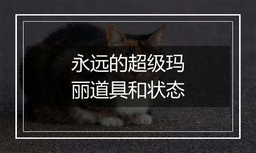 永远的超级玛丽道具和状态