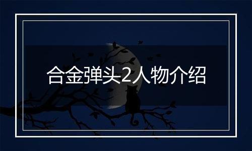 合金弹头2人物介绍