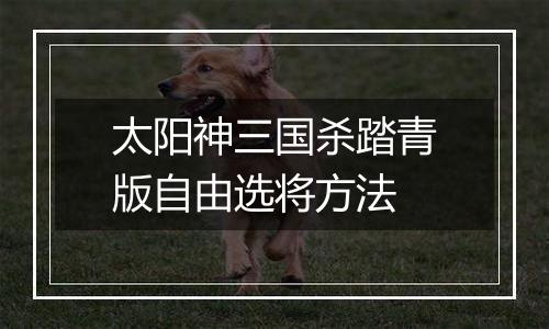 太阳神三国杀踏青版自由选将方法