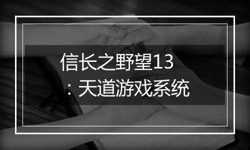 信长之野望13：天道游戏系统